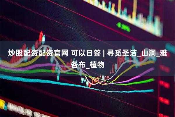 炒股配资配资官网 可以日签 | 寻觅圣洁_山洞_雅各布_植物